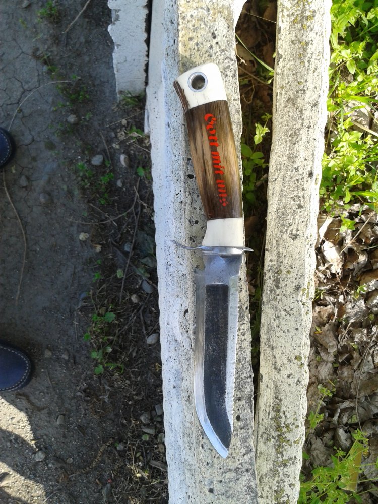 20170428_083446.jpg