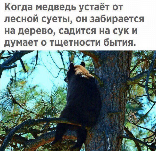 7557f4e80095ca333005c421be704bea.jpg