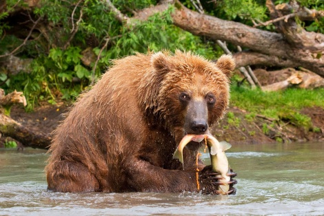 k2_the_fisher.jpg