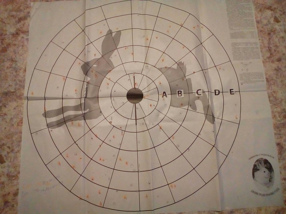 1551810294378-1259627616.jpg