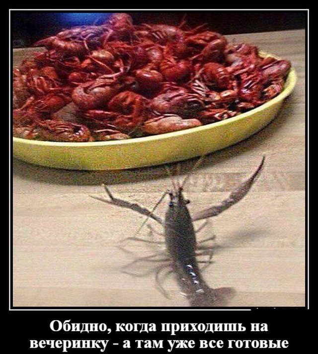 1546602175_030.jpg