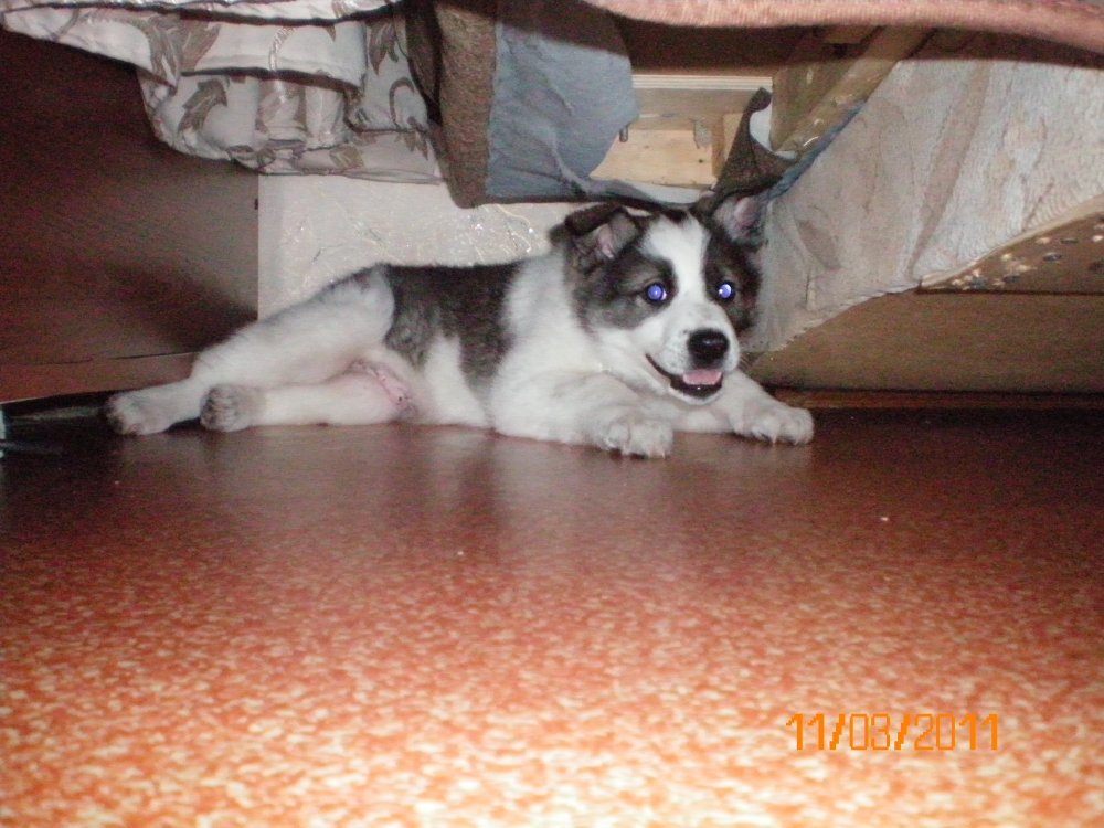 100_0018.JPG