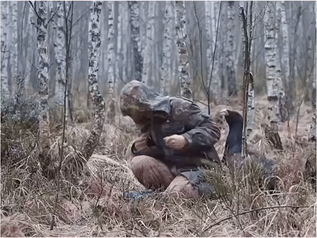 44.jpg