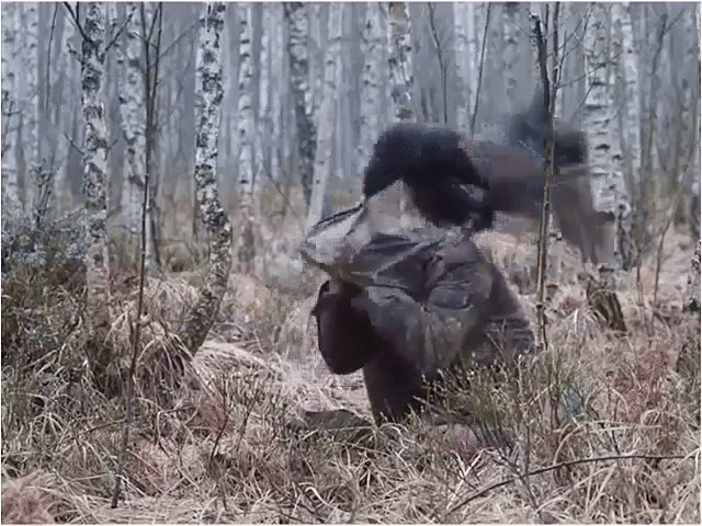 49.jpg