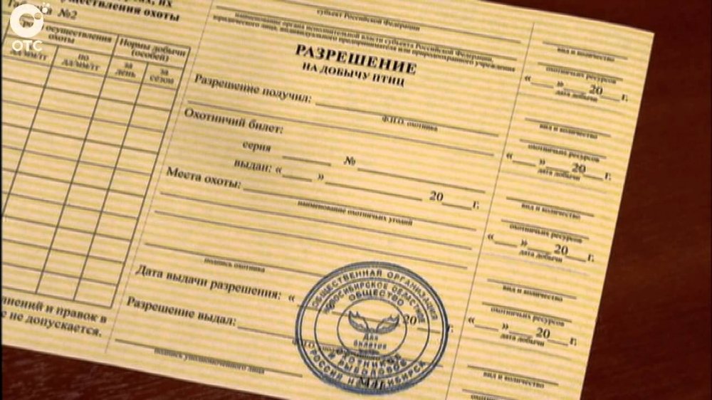 р1.jpg