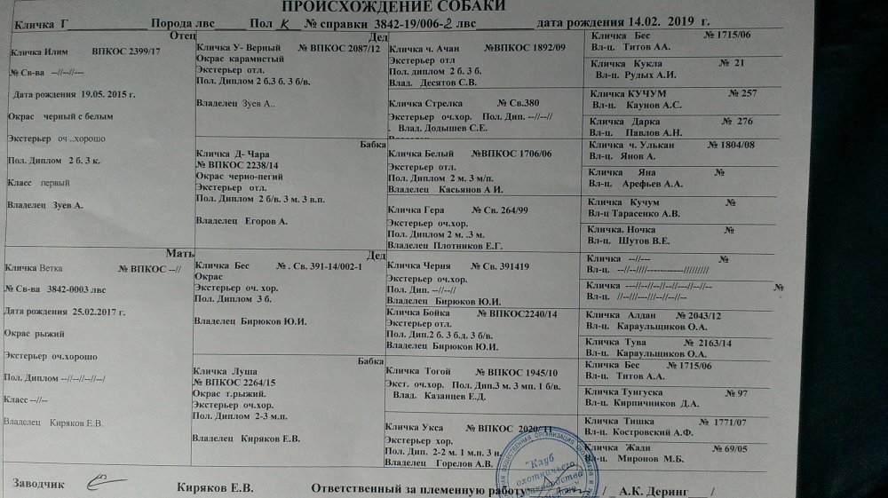 IMAG0181.jpg