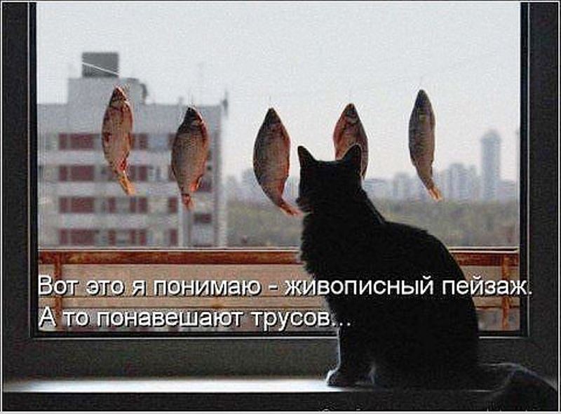 IMG_20190318_210057.jpg