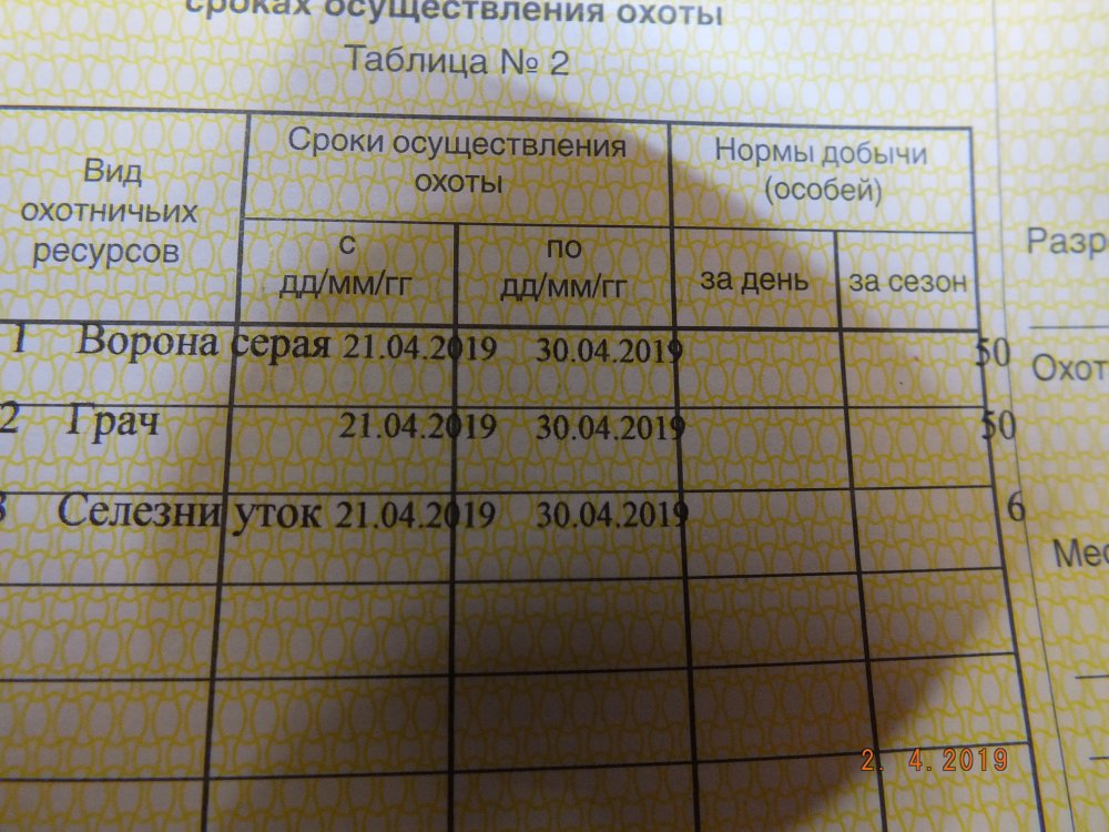DSCF1791.JPG