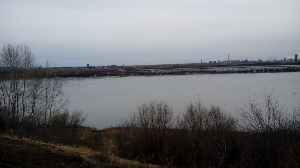 20190405_163116.jpg