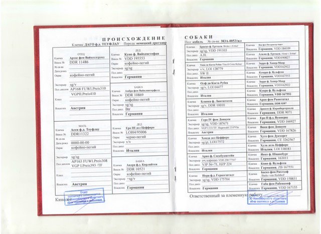 Даго родословная.jpg