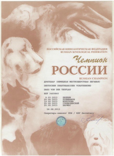 Даго чемпион.jpg