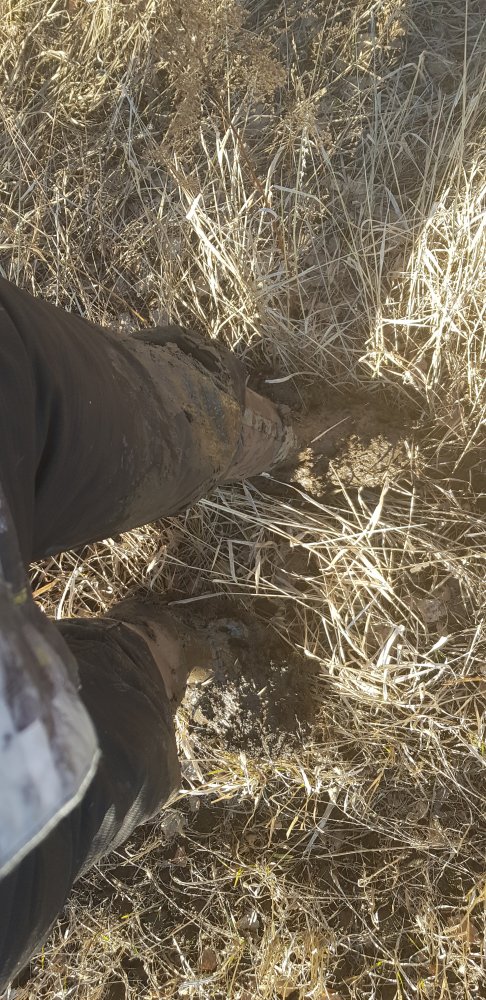 20190407_184144.jpg