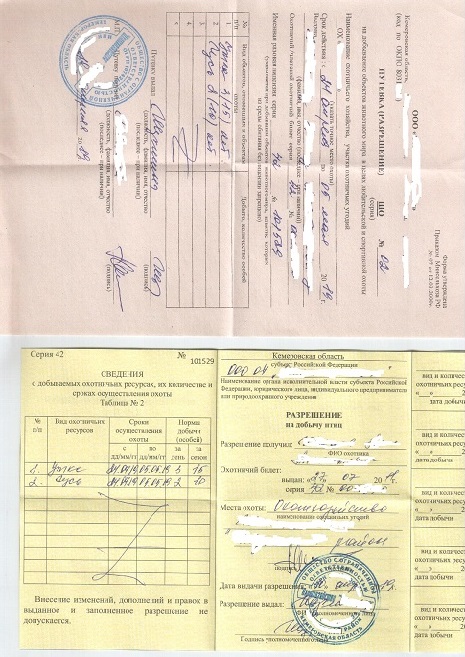 Путевка и разр Шестаки 04 2019 f10.jpg