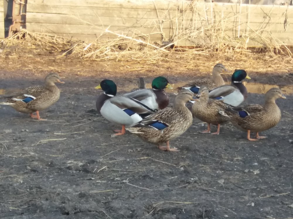 20190413_182740.jpg