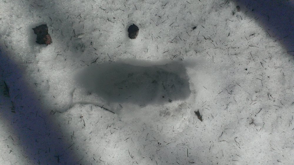 IMAG0274.jpg