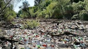 загруженное (5).jpg