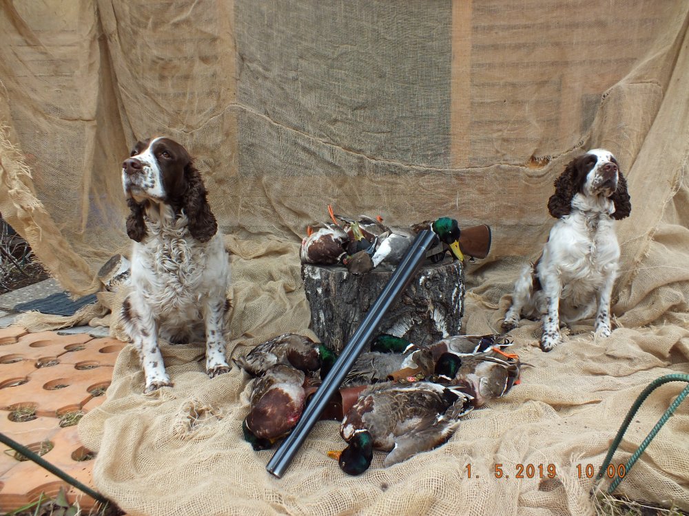 DSCF2067.JPG