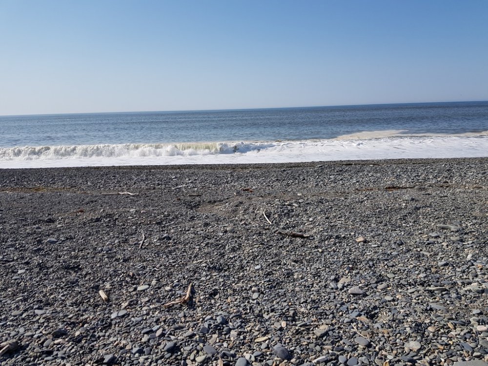 20190510_094834.jpg