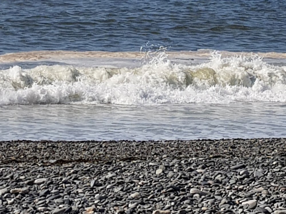 20190510_095013.jpg