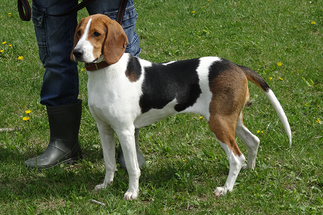 барна-берта 6747.JPG