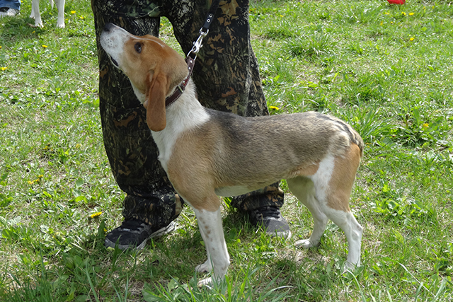 веста уваров06754.JPG