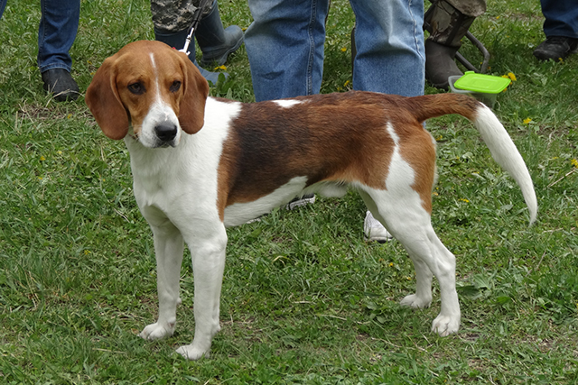 бекар 06894.JPG