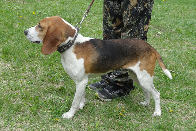 гуф уваров06897.JPG