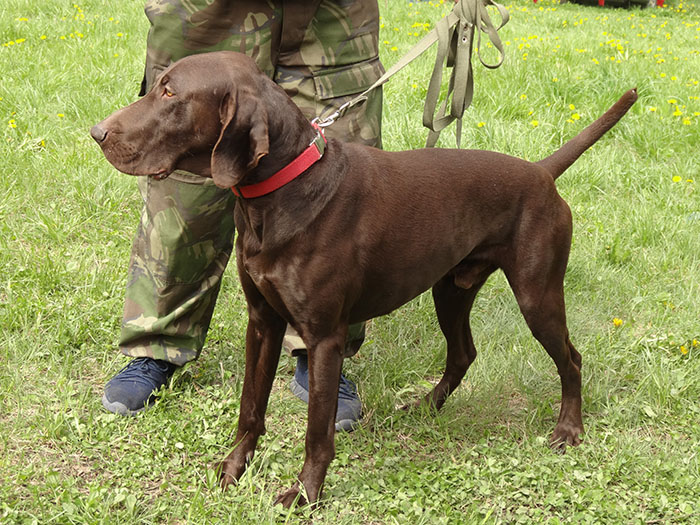 отто фон рич6780.JPG