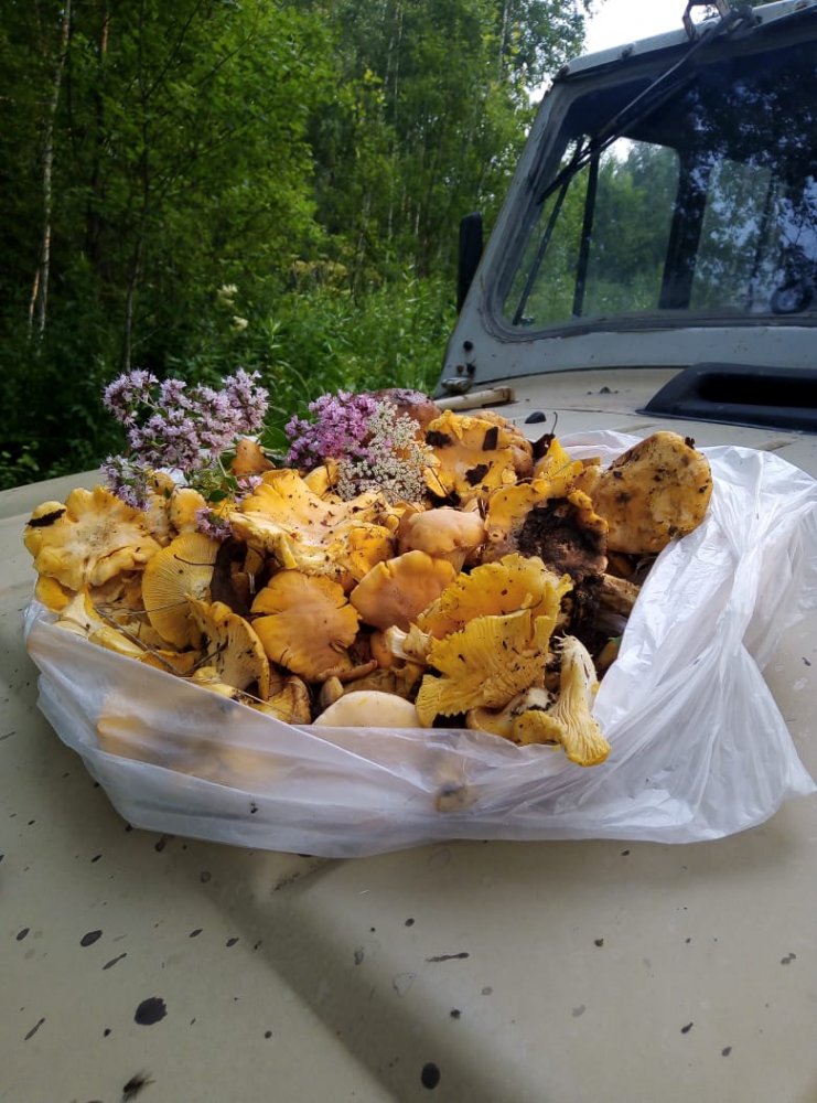 IMG-20190722-WA0012.jpg
