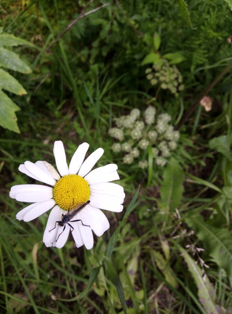 IMG-20190722-WA0010.jpg
