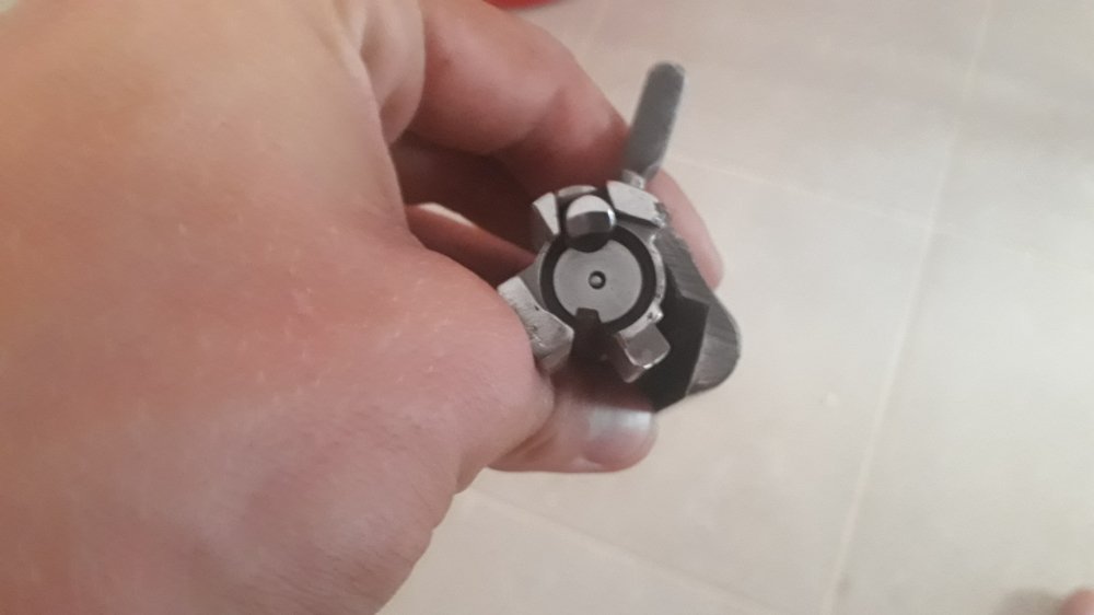20190801_202014.jpg