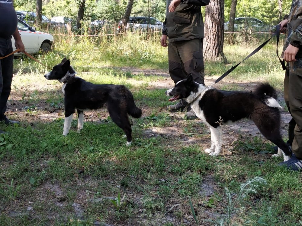 IMG-20190803-WA0014.jpg