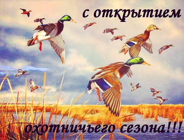 Хорошей охоты