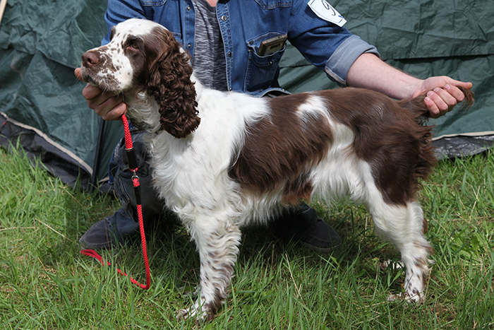 Спрингсиб Алиса_1672.JPG