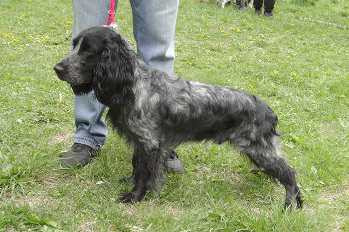 грол-гром 6929.JPG