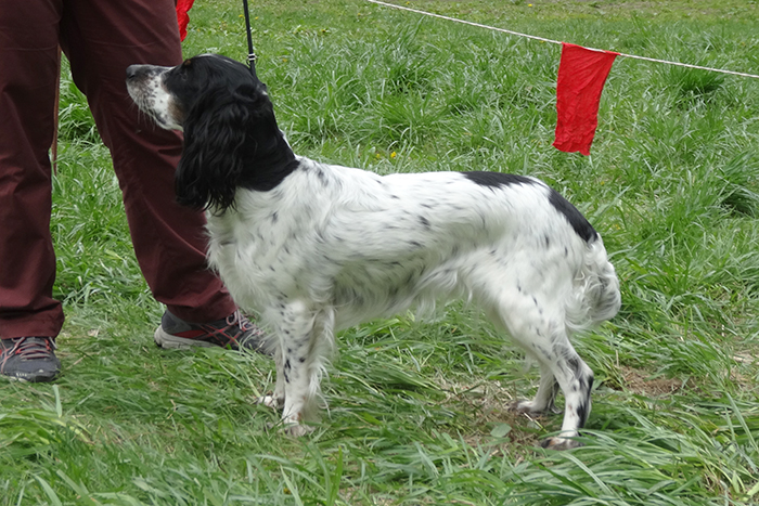 Полянка 7078.JPG