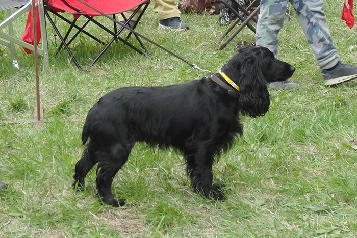 Бояра 07075.JPG