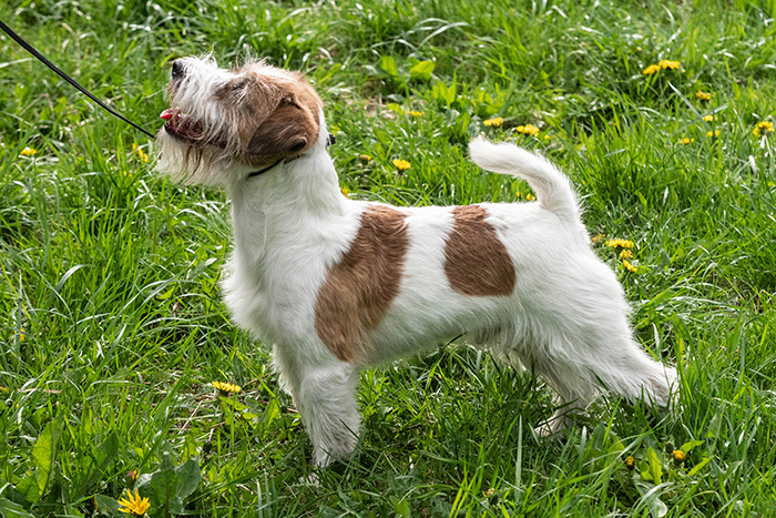 Кубрайт Яромир60114.jpg