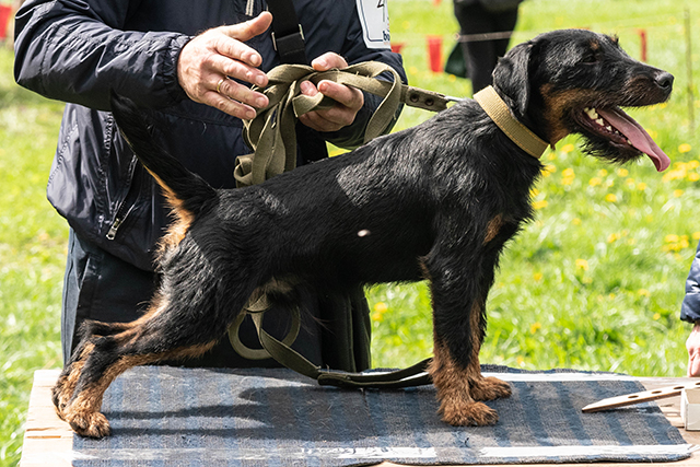 жекс Пикулев0146.jpg