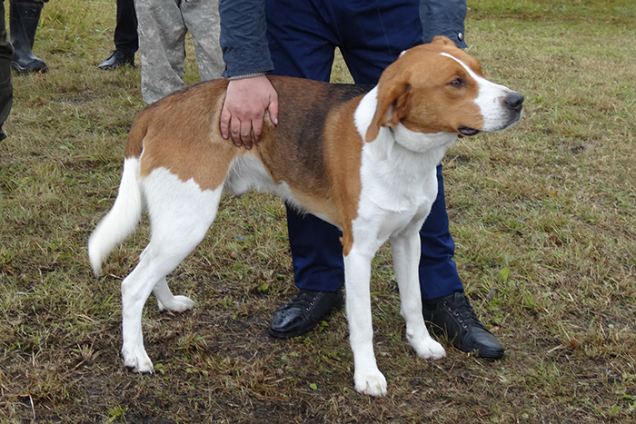 буй ремель08116.JPG