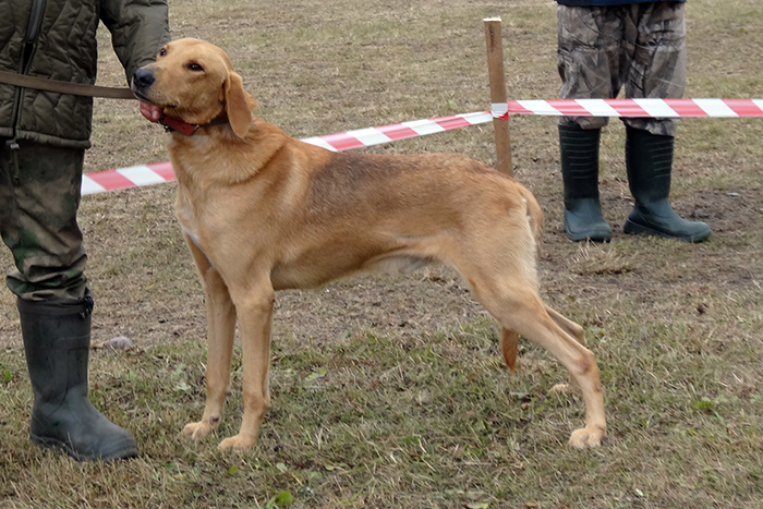 верный маслов08237.JPG