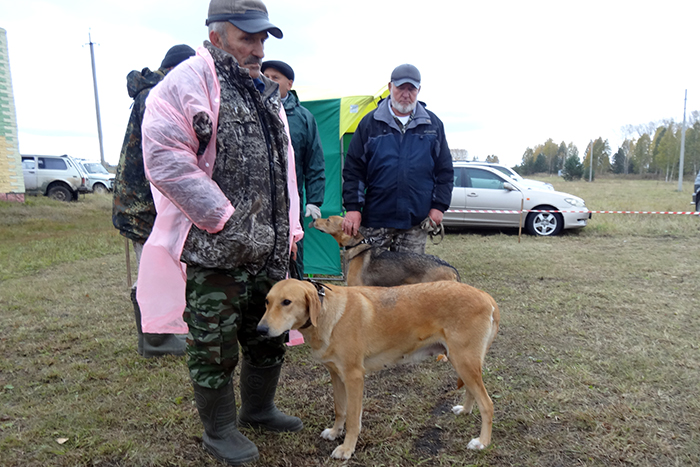 плакса вараксин08221.JPG