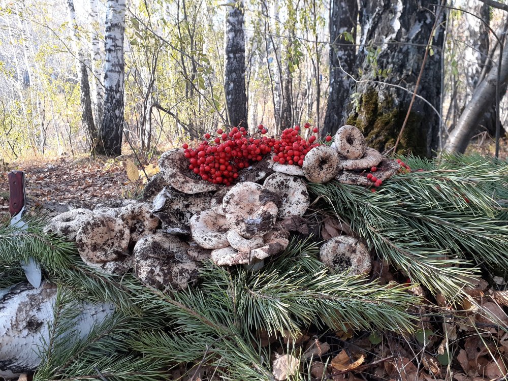 20191006_165458.jpg