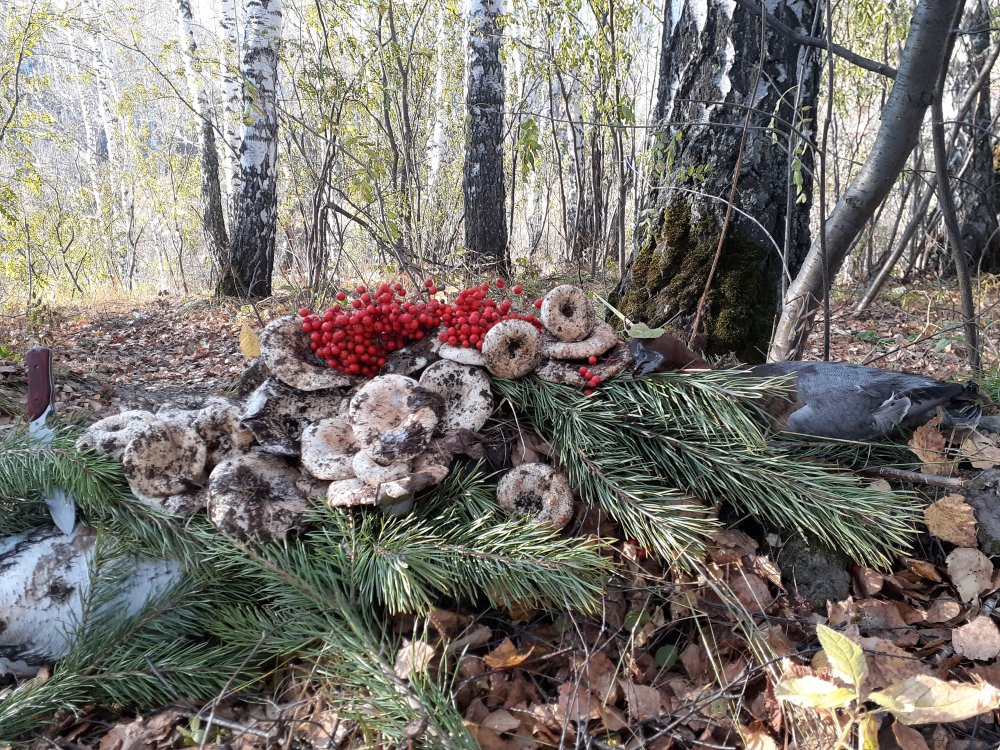20191006_165448.jpg