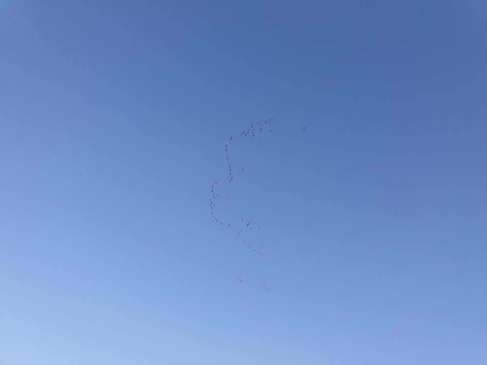 20191006_085743.jpg