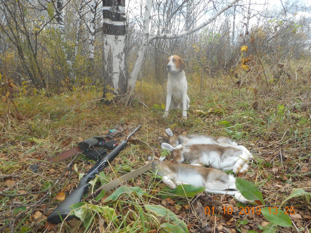 DSCN2059.JPG