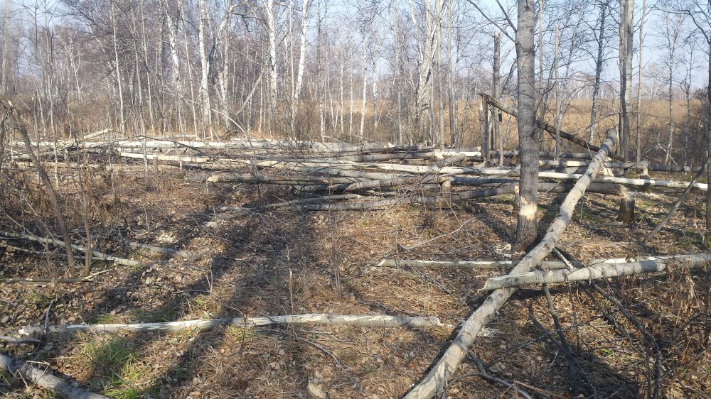 20191013_120750.jpg
