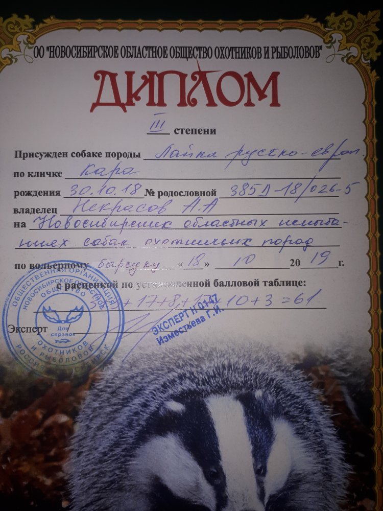 20191020_164656.jpg