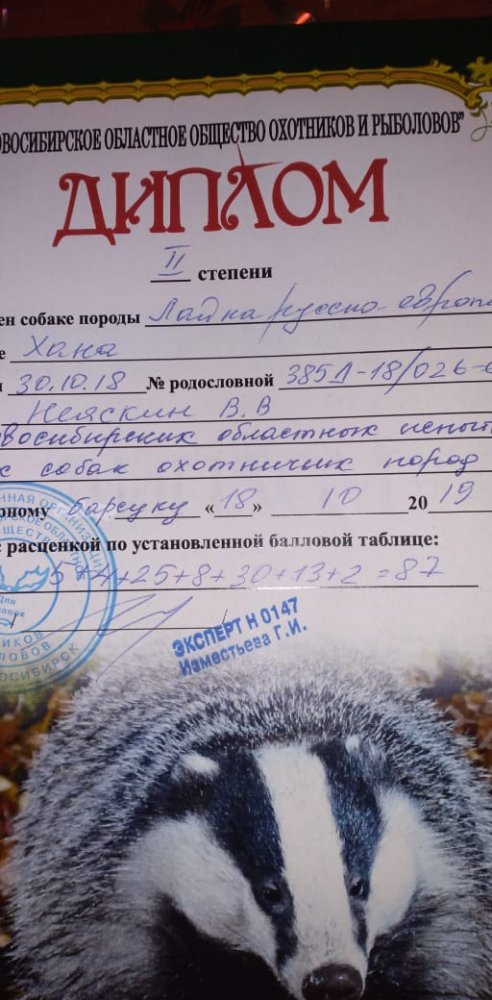 IMG-20191020-WA0014.jpg