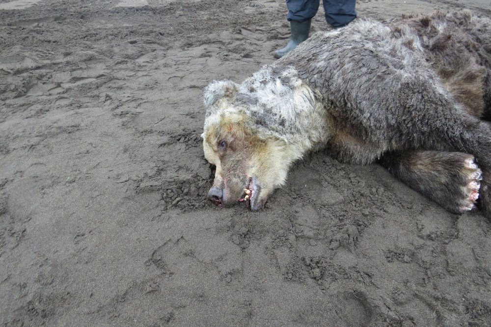 28 окт.19г. 018.jpg